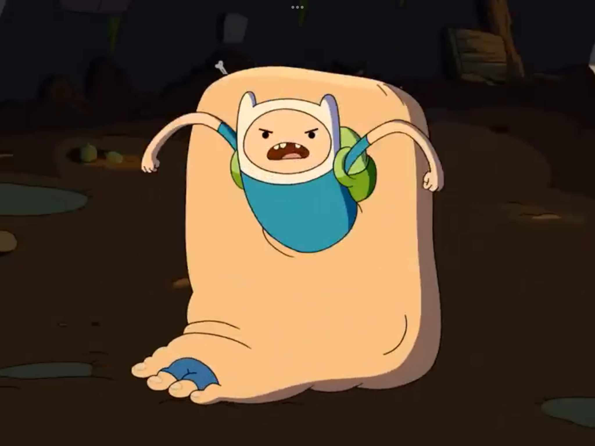 Finn